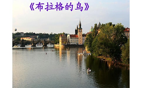 《布拉格的鳥》讀后感范文(精選5篇)