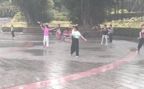 晨練的作文7篇【精】