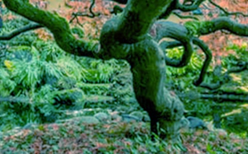 �������(sh��)�����ă�(y��u)�㡾15ƪ��