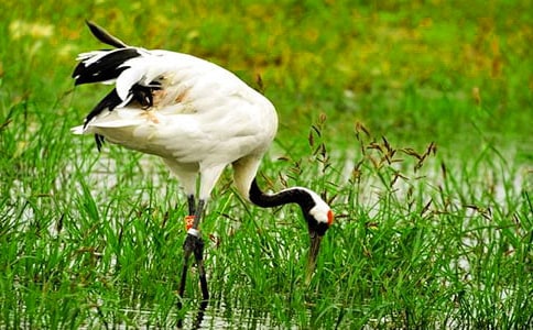 ����Q����500��