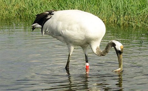 �P(gu��n)�ڵ���Q������8ƪ