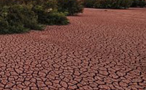 (���T)��������������8ƪ