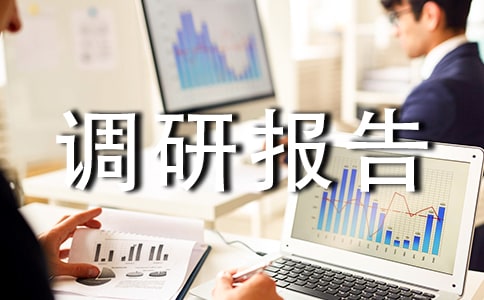 暑假企業(yè)調(diào)研報告