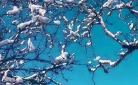 �����Ȍ���������������