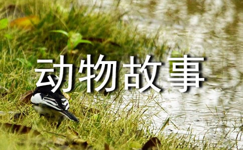 西頓野生動物故事集讀后感