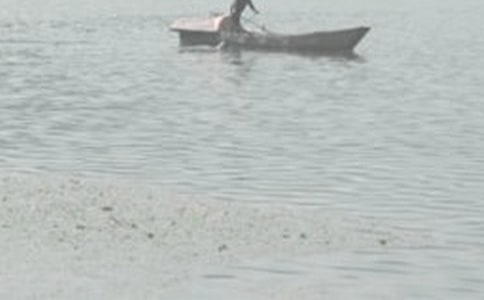 ���۶U����