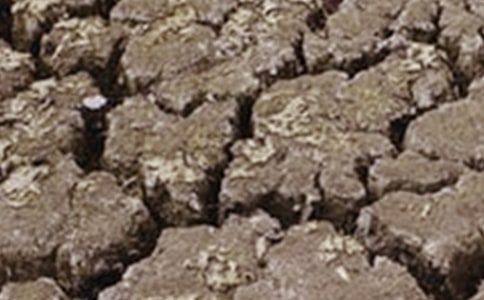 �ɺ���ˮ�������ģ����x8ƪ��