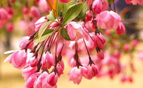 �������f����