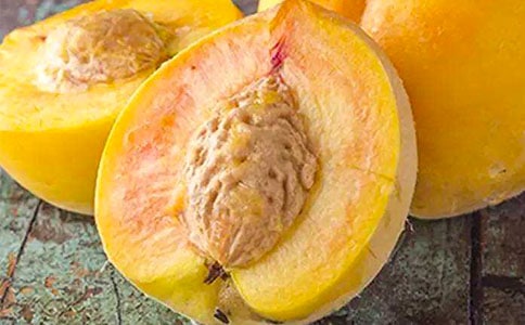 �S�r�^(q��)�S�ҷNֲ����ُ(g��u)�f(xi��)�h