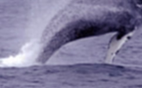 �P(gu��n)���L�~������