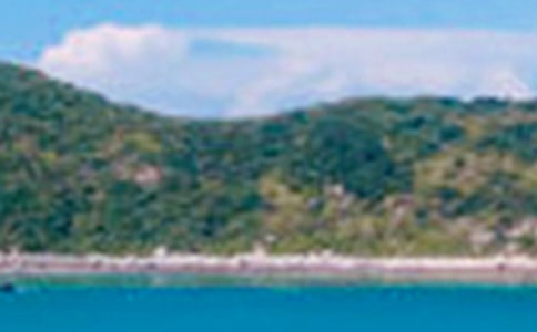 ��ɫ������Ԋ(sh��)��