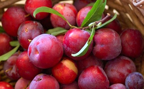 李子的功效與作用有哪些