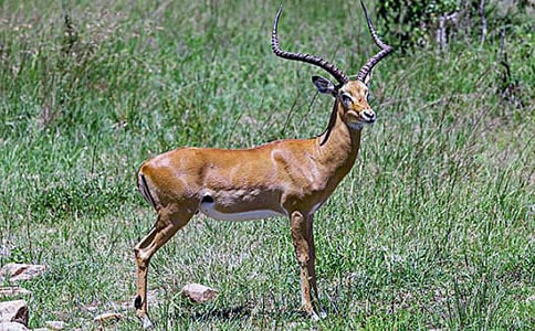 (��)����ľ��˼15ƪ