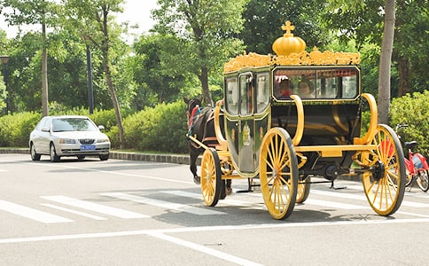 糖尿病五駕馬車治療方案范文(精選11篇)