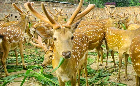 �����÷��¹���D��Ԓ