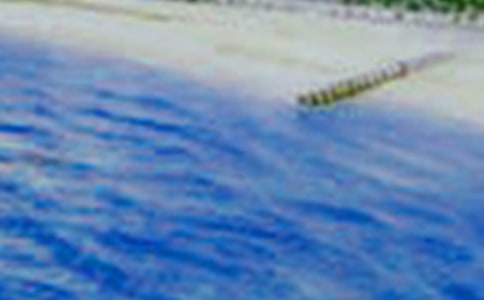 描寫(xiě)美景的詩(shī)句15篇