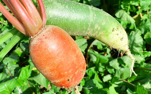 �r(n��ng)�Ҙ�(l��)����