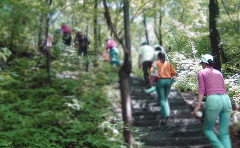 ������ɽ���׺Æ�