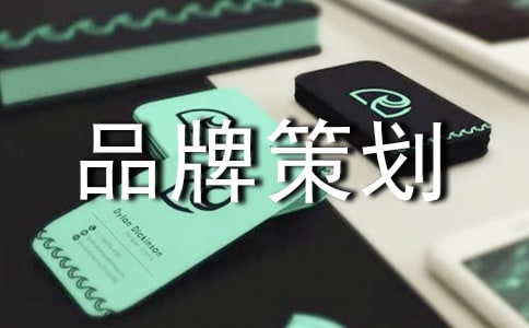 企業(yè)品牌策劃4篇(精華)