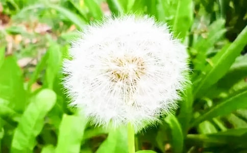 ����(l��)���w����ѹ�Ӣ�^���