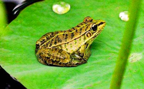 ץ���ܿ��D��Ԓ����