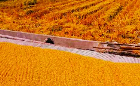 �����ϣ����տ��D��Ԓ