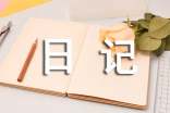 優(yōu)秀日記范文六篇