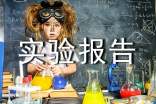 實(shí)驗(yàn)報(bào)告范文