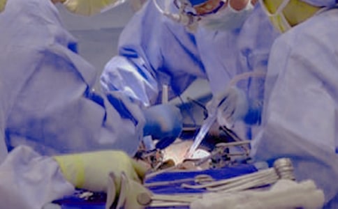 ��(m��ng)Ҋĸ�H�����g(sh��)��ʲô��˼