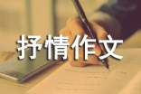抒情作文初一