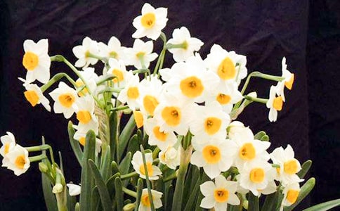 �i����ˮ�ɻ����i�Z