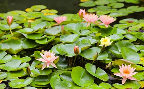 ���]��˯ɏ������