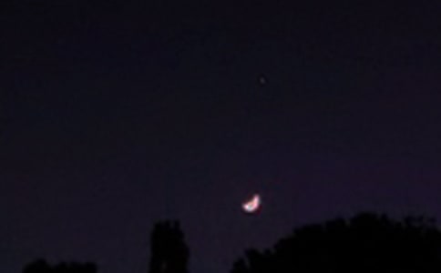 ���TΨ������������ͨ��195�䣩