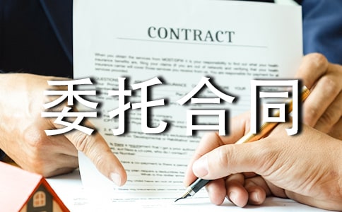 項(xiàng)目策劃委托合同(3篇)