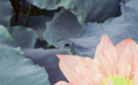 2022�����簲�l(f��)����Ȧ�ľ���