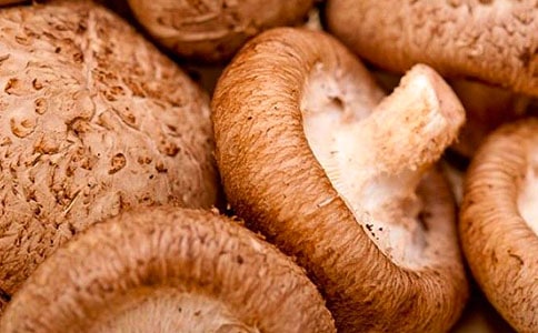 �㹽�˹��Nֲ�ɱ��A��