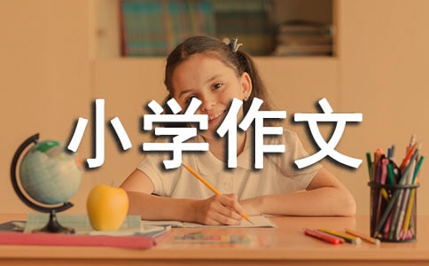 我的小伙伴小學(xué)作文550字