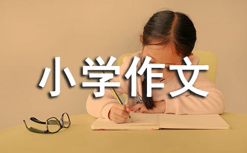 小學(xué)作文400字精華9篇