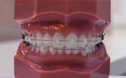 ���X�L�����l����ô�k