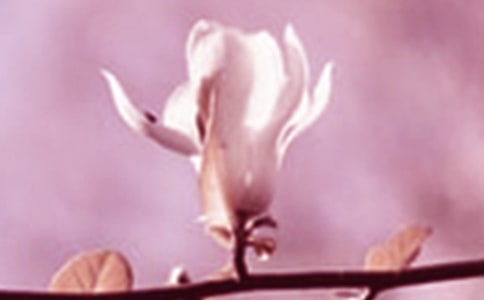 ���������m��300��