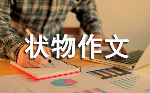 【熱門】狀物作文集合六篇