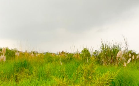 《走進(jìn)和諧的春天》讀后感5篇