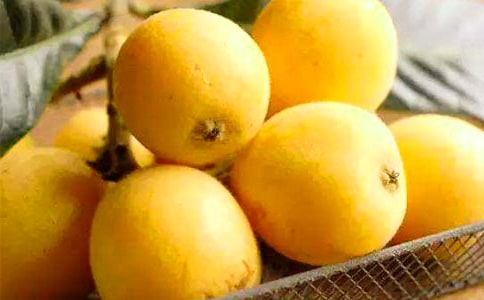 ���˵�����