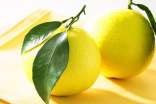 有關(guān)柚子的功效與作用介紹
