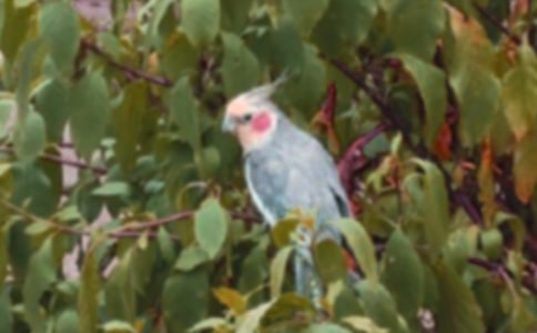 �W�^������