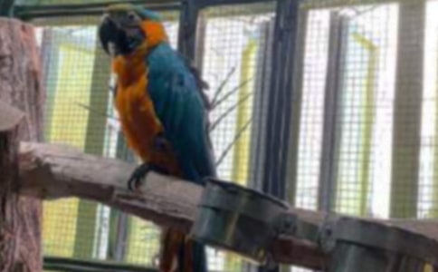 �ɐ�(��i)���W�^���ģ�ͨ��15ƪ��