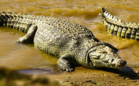 �{�~������