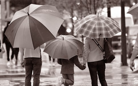 爸爸媽媽對(duì)我的愛(ài)作文集錦15篇