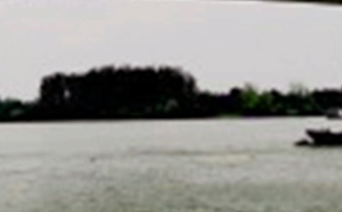 長(zhǎng)江的作文