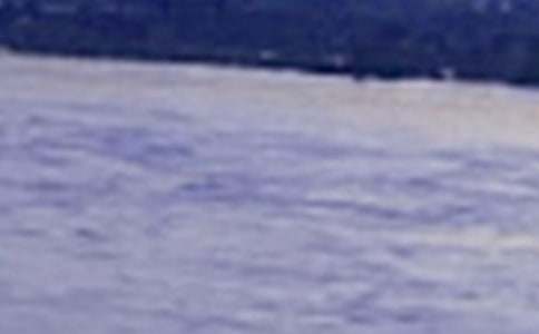 �P(gu��n)���L�������b